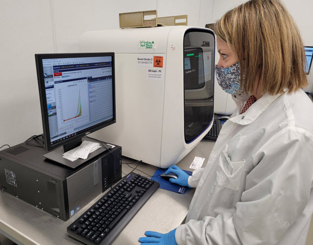 The specialist checks the laboratory's reports