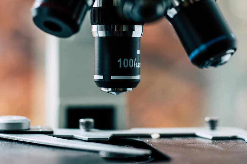 Six Factors That Should Be Considered Before Upgrading Your Lab's Pathology Reporting Software