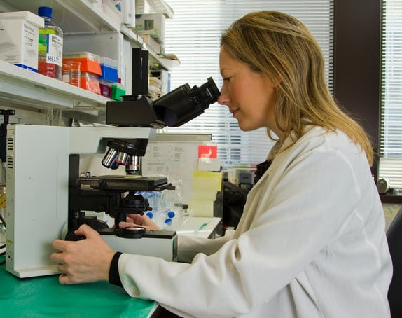 Software solutions for LIS